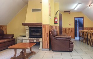 TV, fireplace, ping pong