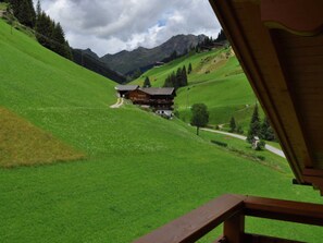 Terrain de l’hébergement 