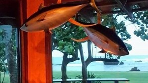 A room with a large window overlooking a beach, a table with a decorative item, and a view of a tree and the ocean.