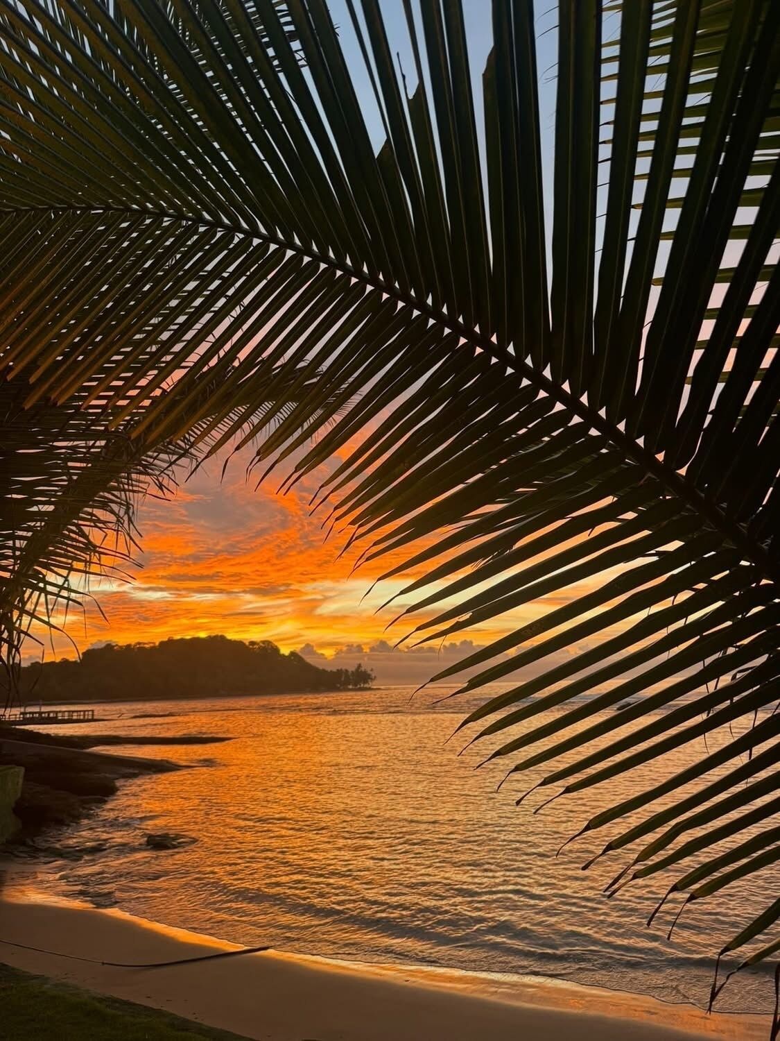 En la playa, camastros y toallas de playa 