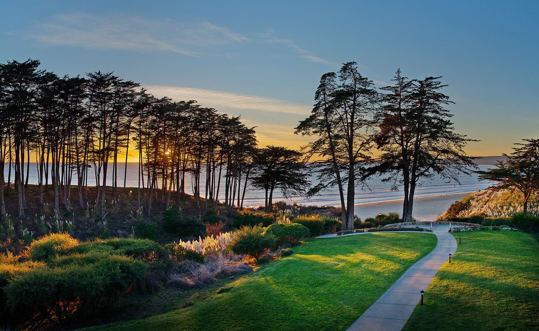 A coastal landscape with a pathway leading to the beach, surrounded by tall trees and grassy areas.