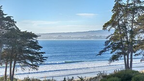 A coastal view with a beach, trees, and a distant hilly landscape.