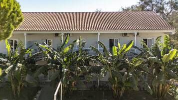 A two-story building with a tiled roof, surrounded by banana plants.