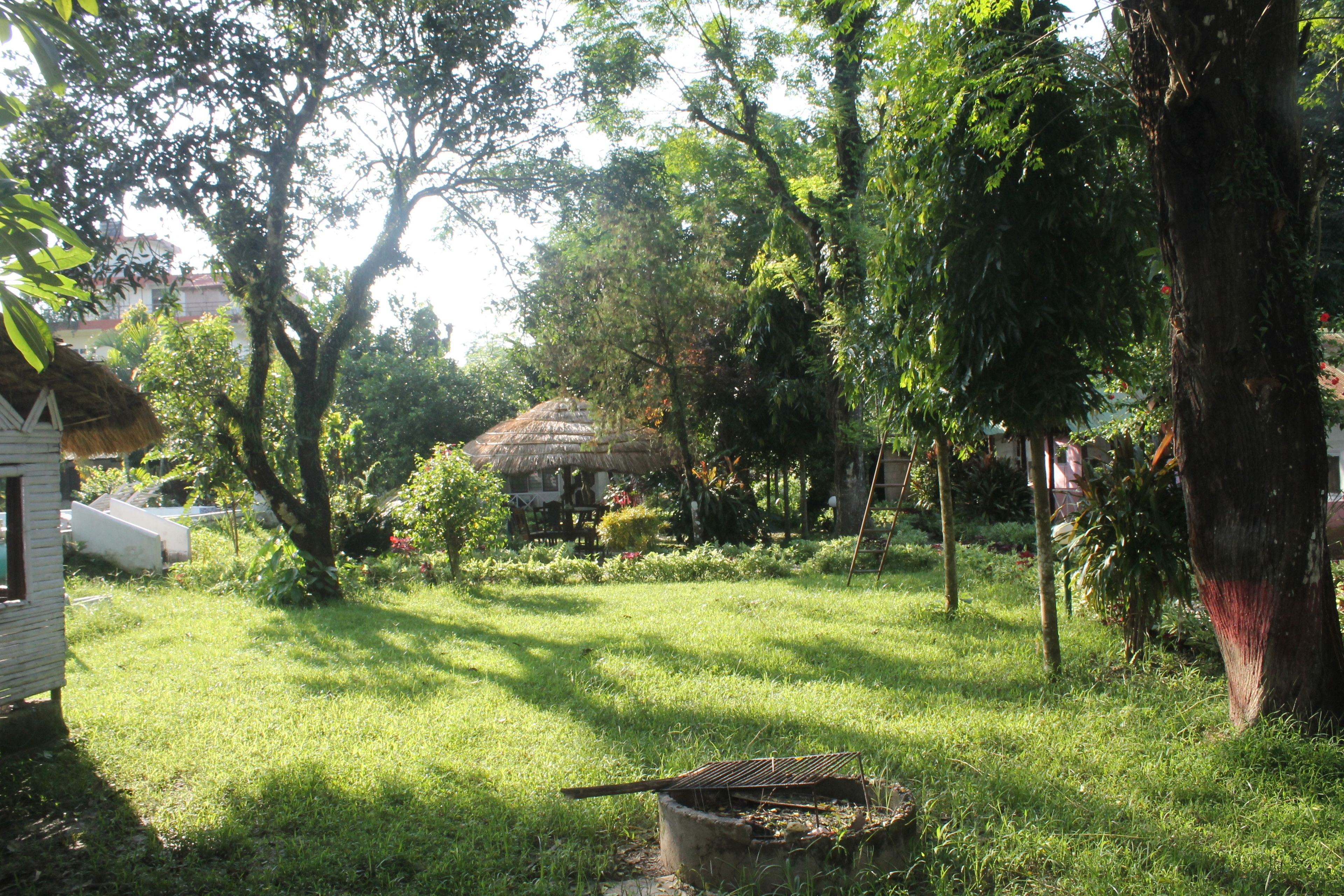 Jardin