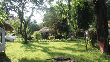 Jardin