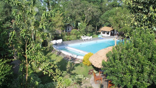 A swimming pool surrounded by lush greenery, with a thatched-roof hut and lounge chairs.