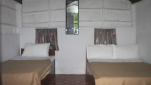 A room with two beds, a mirror, and a patterned carpet.