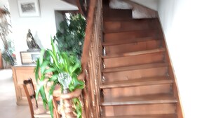 A wooden staircase with a handrail, a rug at the bottom, and potted plants. - Homerez - House in Bernac-Dessus (Bernac-Dessus)