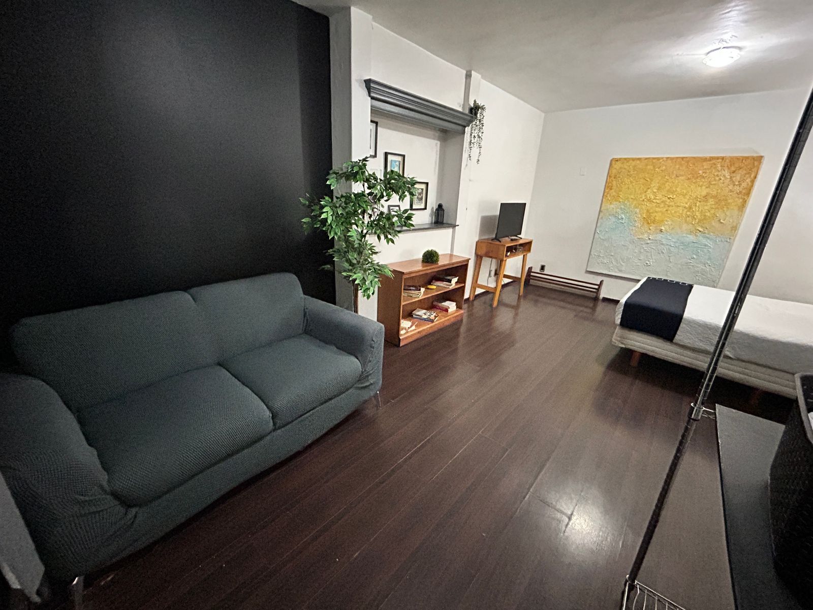 Un salon avec un canapé gris, un meuble TV en bois, une petite plante et un tableau accroché au mur.