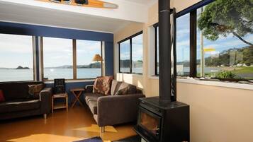 Smart TV, fireplace, Netflix, toys