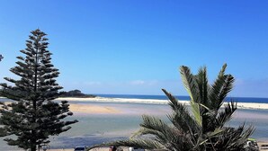 Una playa con cielos despejados, una orilla arenosa y algunos árboles en primer plano.
