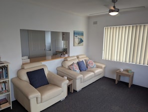 Smart TV, DVD player, books, video library