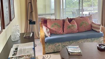 Smart TV, reproductor de DVD y libros