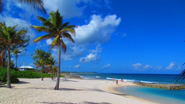 Een strand met palmbomen, helderblauwe lucht en golven.