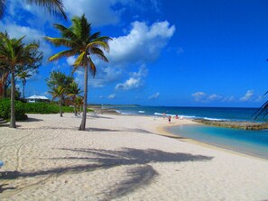 A beach with palm trees, clear blue sky, and ocean waves.