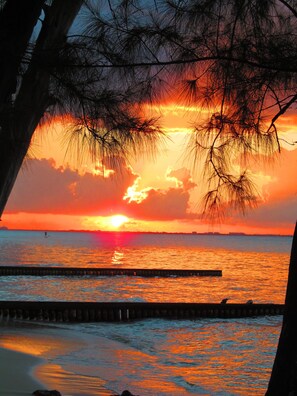 On the beach, sun-loungers, beach towels - Your Oceanside Retreat Awaits! (Old Man Bay)