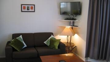 TV, DVD player, books, video library