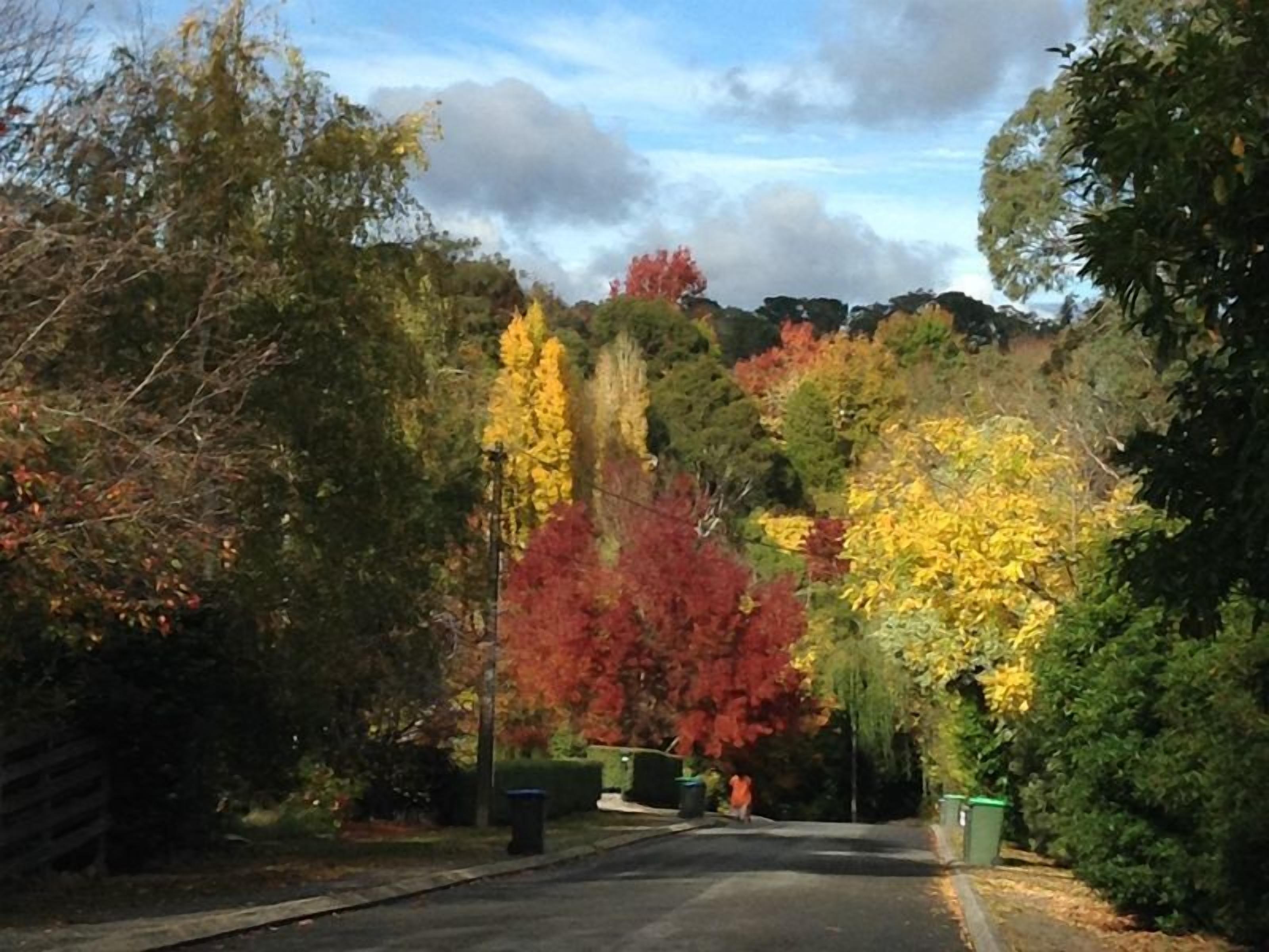 Adelaide Hills Bed and Breakfast — image 26