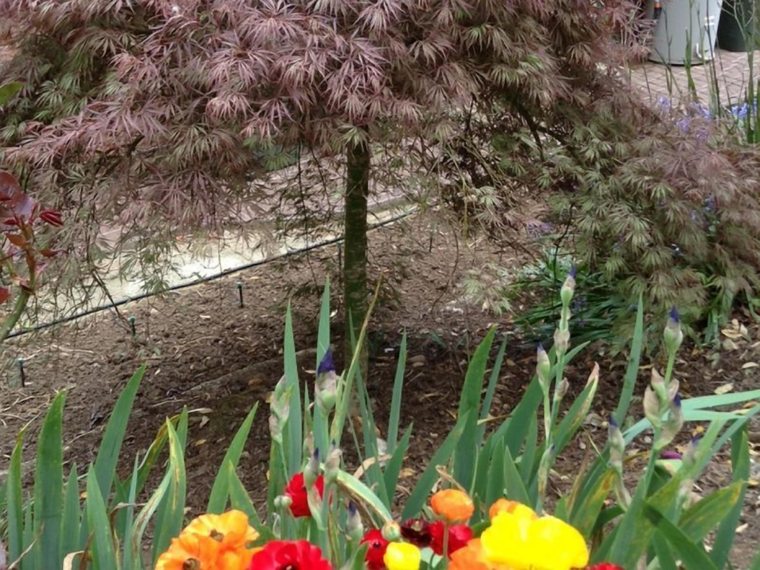 Adelaide Hills Bed and Breakfast — image 11