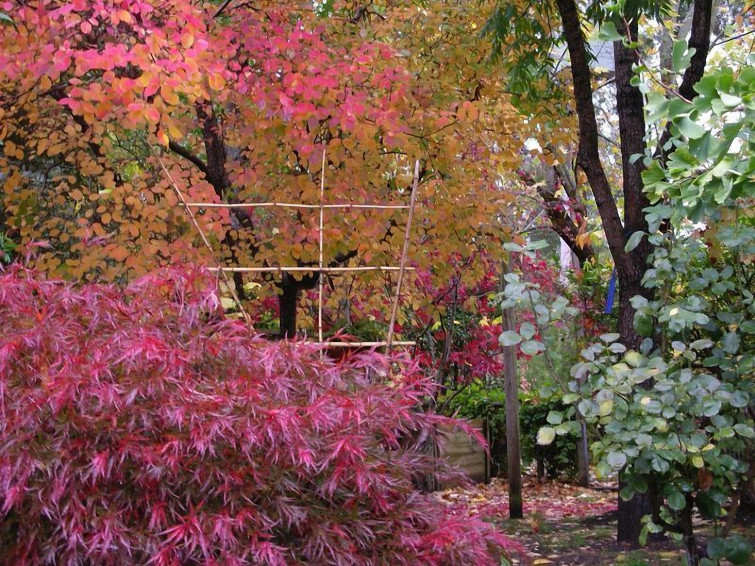 Adelaide Hills Bed and Breakfast — image 19