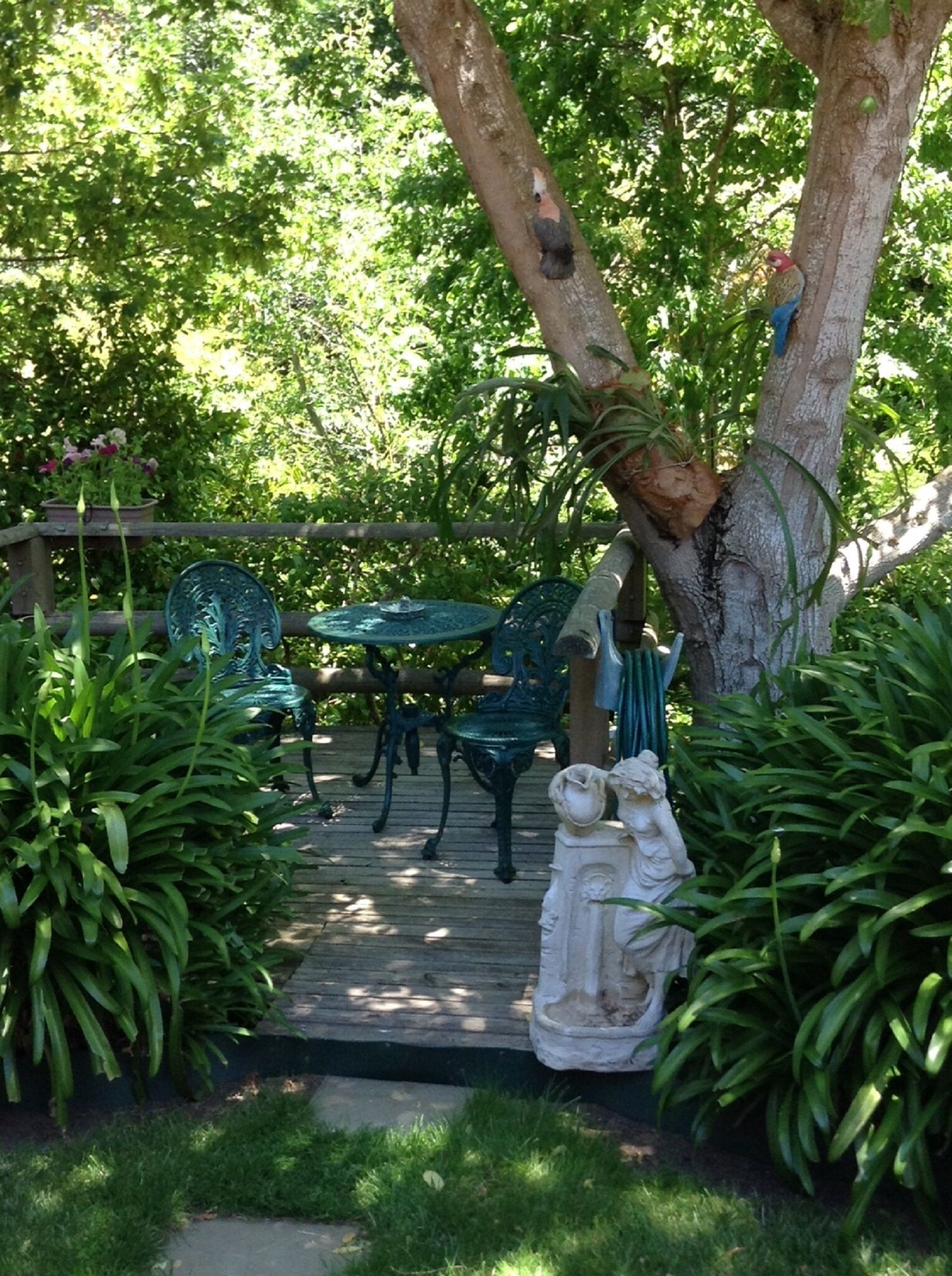 Adelaide Hills Bed and Breakfast — image 29