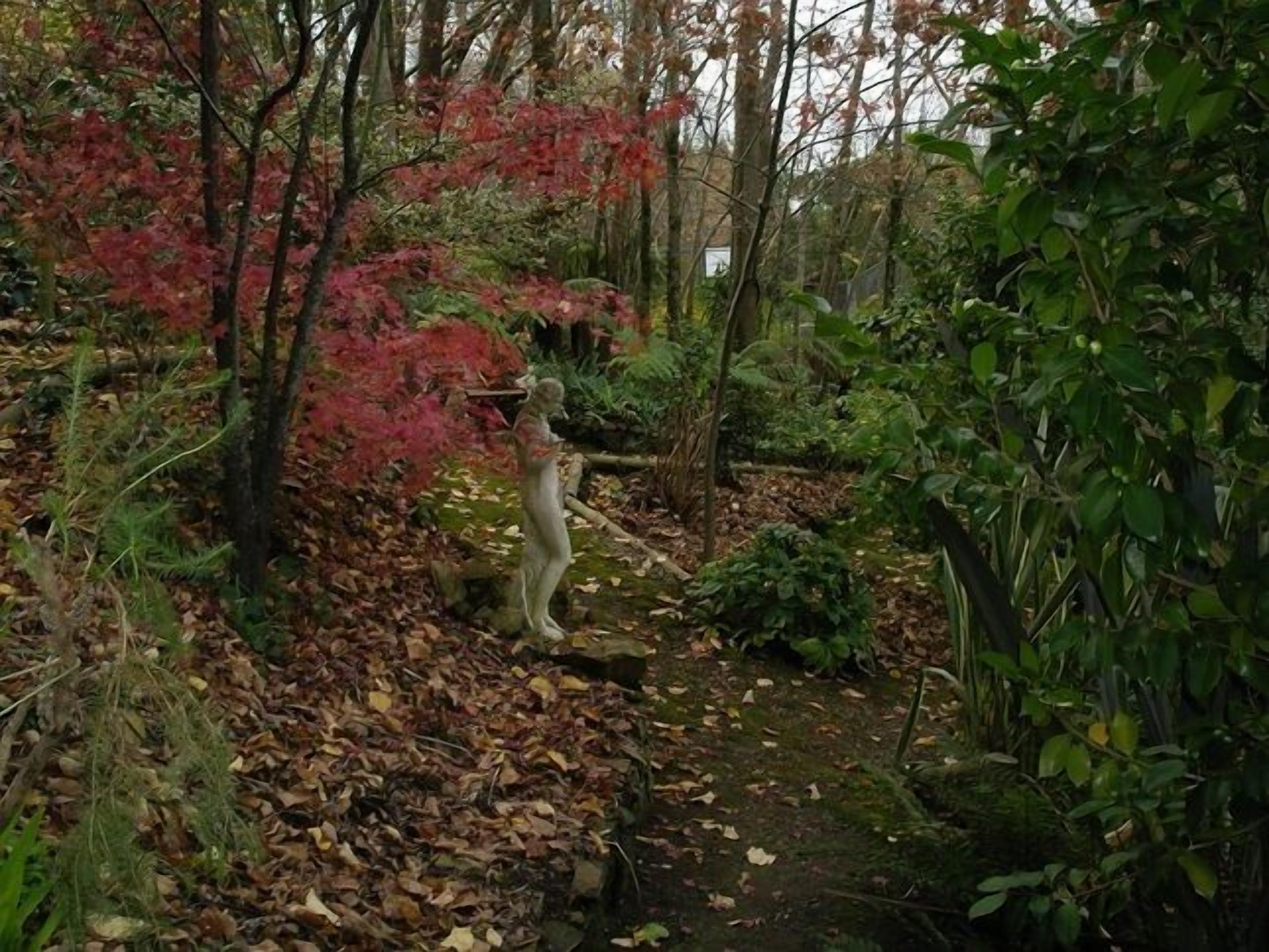 Adelaide Hills Bed and Breakfast — image 23