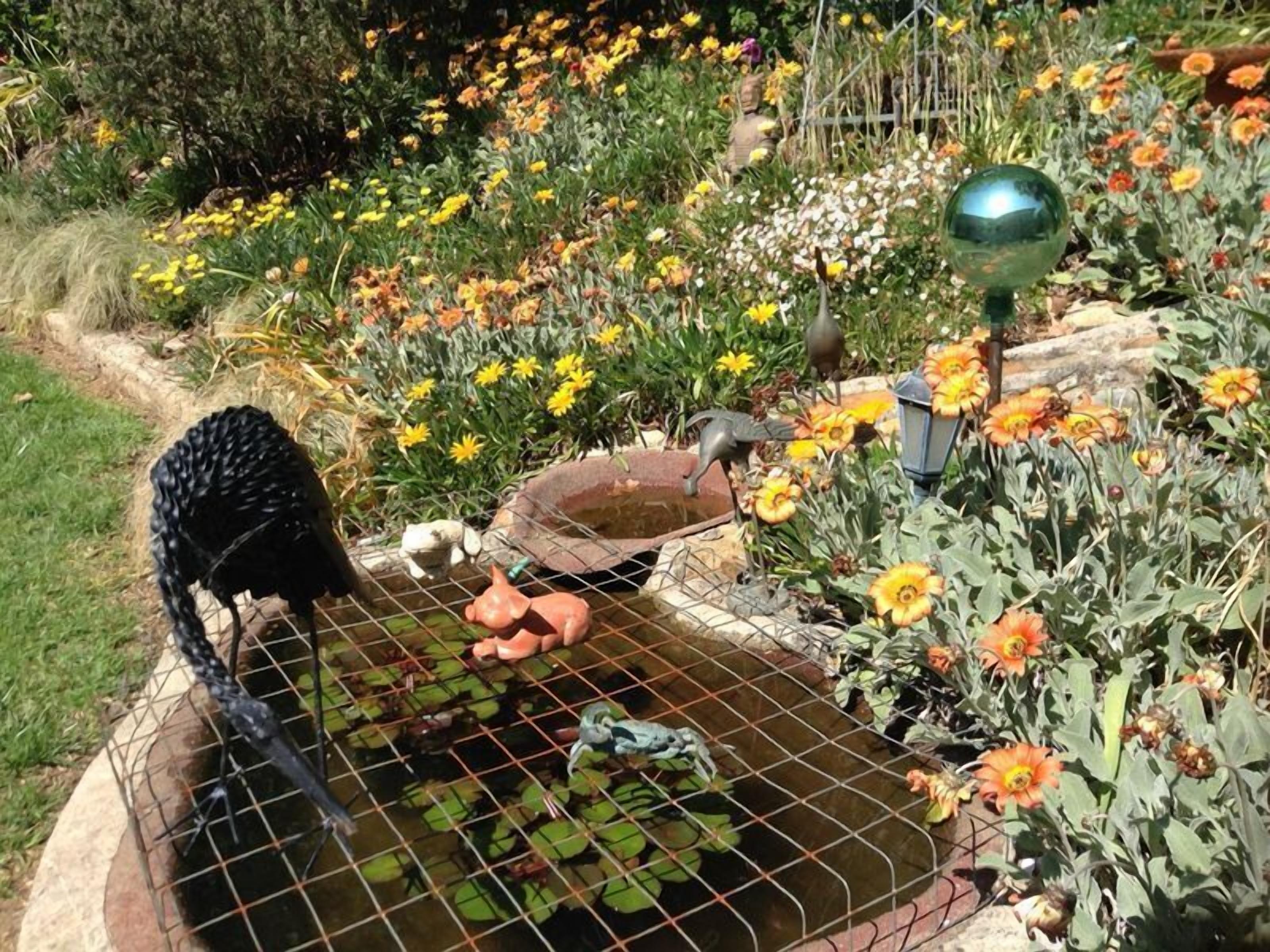 Adelaide Hills Bed and Breakfast — image 10