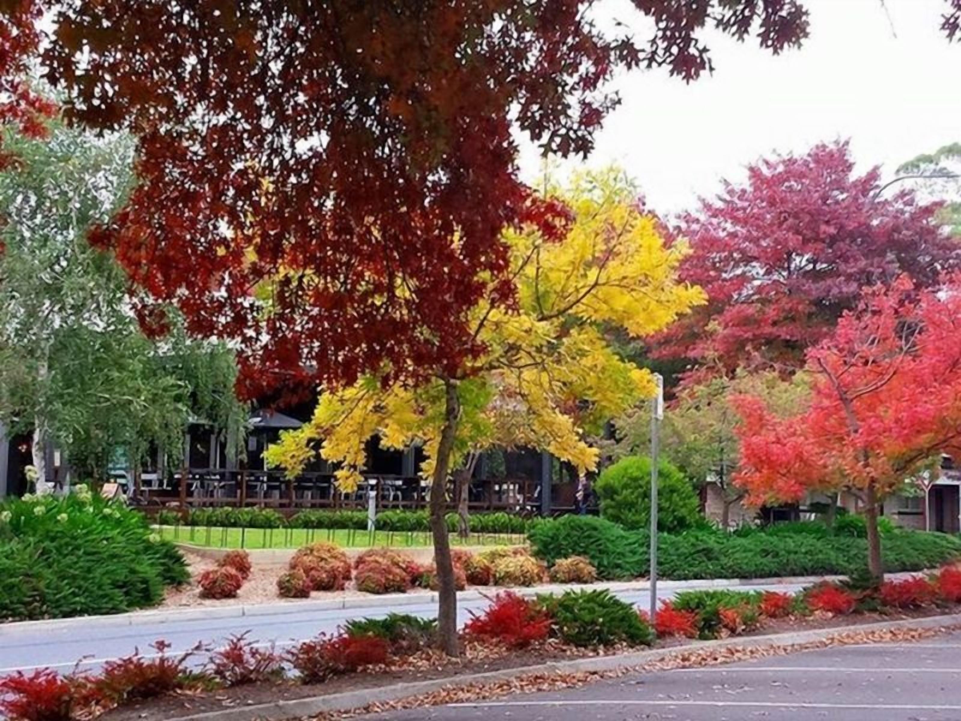 Adelaide Hills Bed and Breakfast — image 25