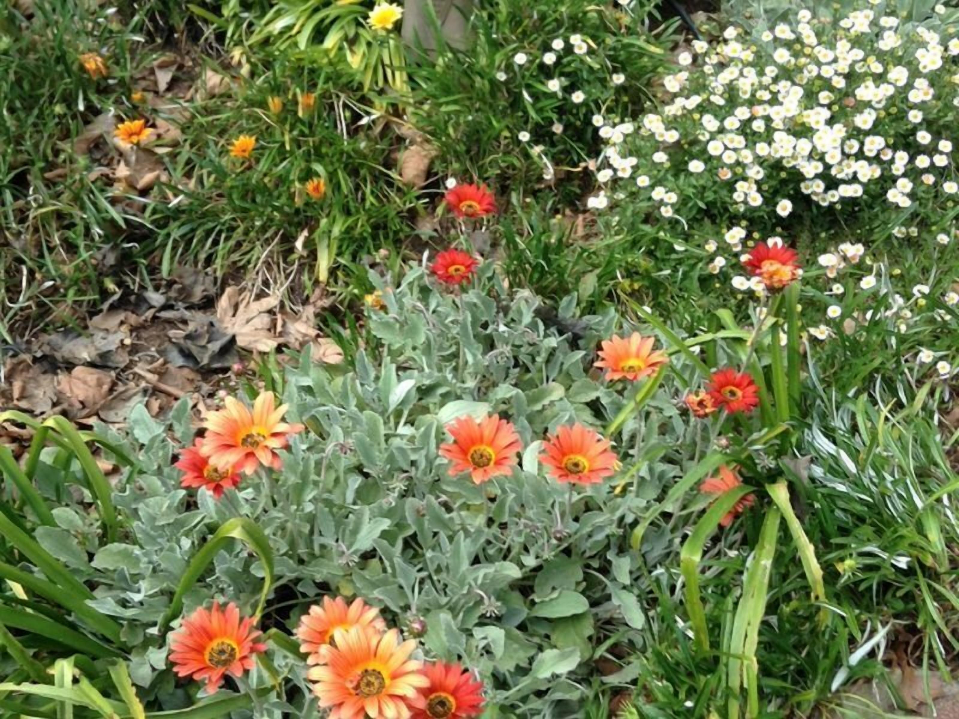 Adelaide Hills Bed and Breakfast — image 21