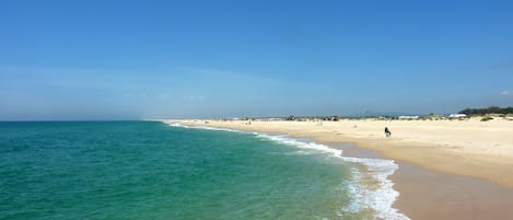 Sun-loungers, beach towels