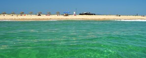 Tumbonas y toallas de playa