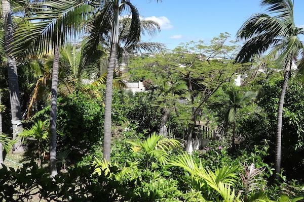 Jardin arboré.