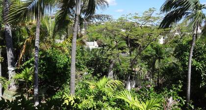 Marina Villa. Ocean & Greenery. Saint Gilles les Bains. Boucan Canot Beach.