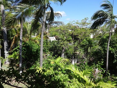 Marina Villa. Ocean & Greenery. Saint Gilles les Bains. Boucan Canot Beach.