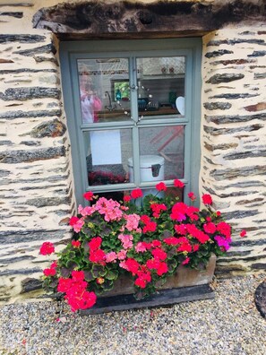 Exterior detail - Beautiful cottage with private,heated pool and free internet access. (Saint-Martin-Des-Prés)