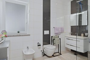 Shower, hair dryer, bidet, towels