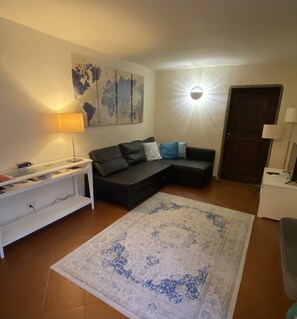 TV, DVD player - Apartment/ flat - Firenze (Firenze)