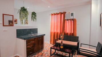 A compact living space with a kitchenette, a dining area with two chairs, a hanging plant, and a curtain.