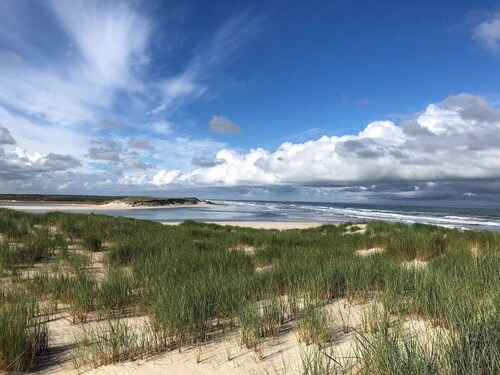 Bungalow an den Dünen: Großzügiger Garten mit BBQ, Stuga und BBQs sowie Sauna