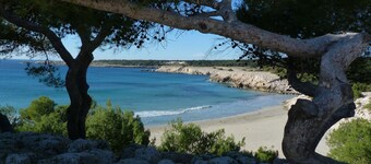 apartment 80 m2 downtown martigues