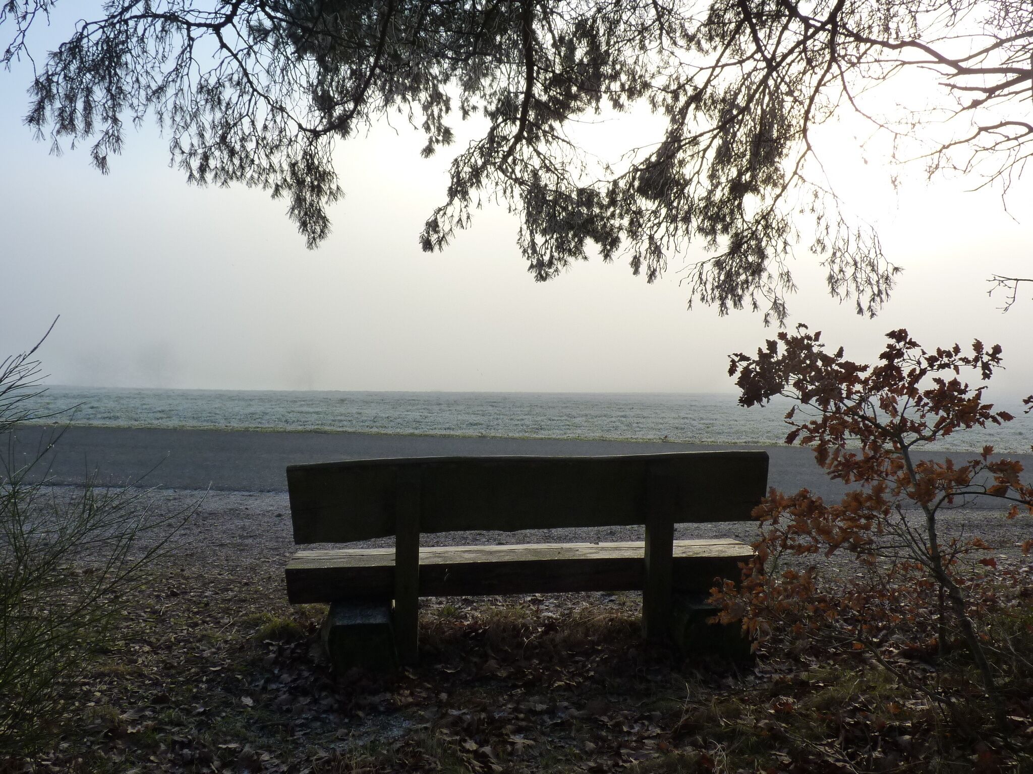 Un banc placé face à la mer, offrant une vue sur la plage.
