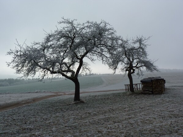 Un paisaje helado con un árbol y una pila de leña.