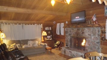 Smart TV, fireplace, DVD player, books