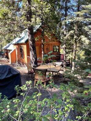 Outdoor dining - Serene Tahoe cabin bordering the National Forest (Kings Beach)