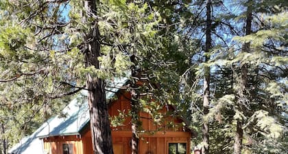 Serene Tahoe cabin bordering the National Forest