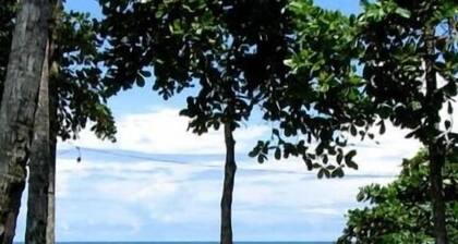 Slice Of Paradise, Bungalow for 2, full kitchen & bath, king bed, AC, & gazebo