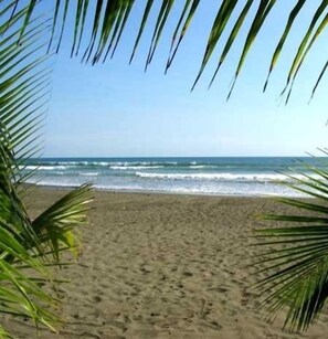 A beach with palm trees framing the view of the ocean. - Slice Of Paradise, Bungalow for 2, full kitchen & bath, king bed, AC, & gazebo (Playa Matapalo)