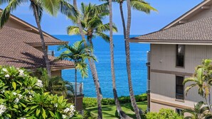 A beachfront property with multiple-story buildings, palm trees, and a clear view of the ocean.