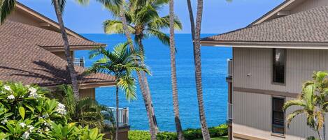 A beachfront property with multiple-story buildings, palm trees, and a clear view of the ocean.