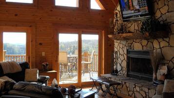 Smart TV, fireplace, DVD player, books